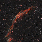 Eastern Veil Nebula by Surajit Bhattacharya