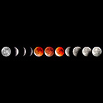 Lunar Eclipse 2025 by Ravi Hegde and Dr. Lakshmi Sowjanya Bammidi